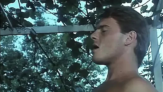 Kıllı Pussies ve Büyük Sabit yarrak ile Bahçede Vintage Orgy