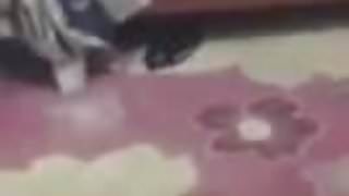 yapıyortıdır